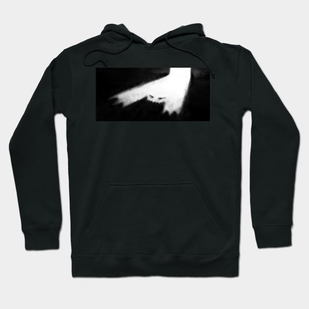 Feared darkness Hoodie by Maestral